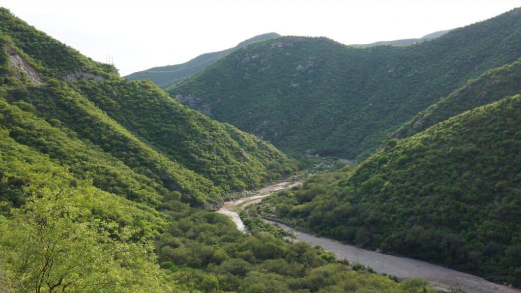 El Río Sonora a su paso por Baviácora